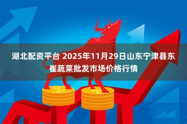 湖北配资平台 2025年11月29日山东宁津县东崔蔬菜批发市场价格行情