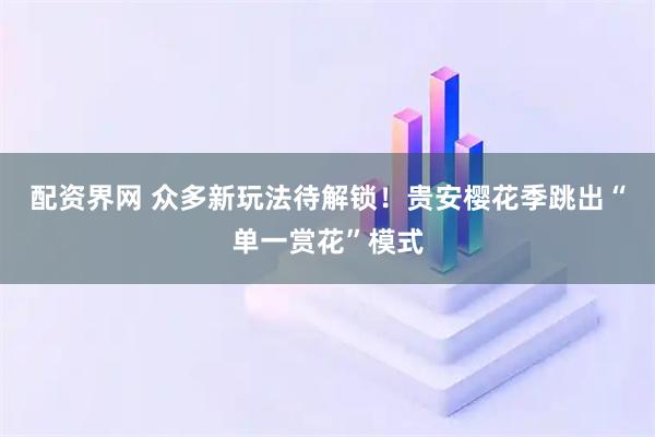配资界网 众多新玩法待解锁！贵安樱花季跳出“单一赏花”模式